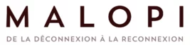 Malopi | Anti-scroll Club | Loisirs créatifs | DIY
